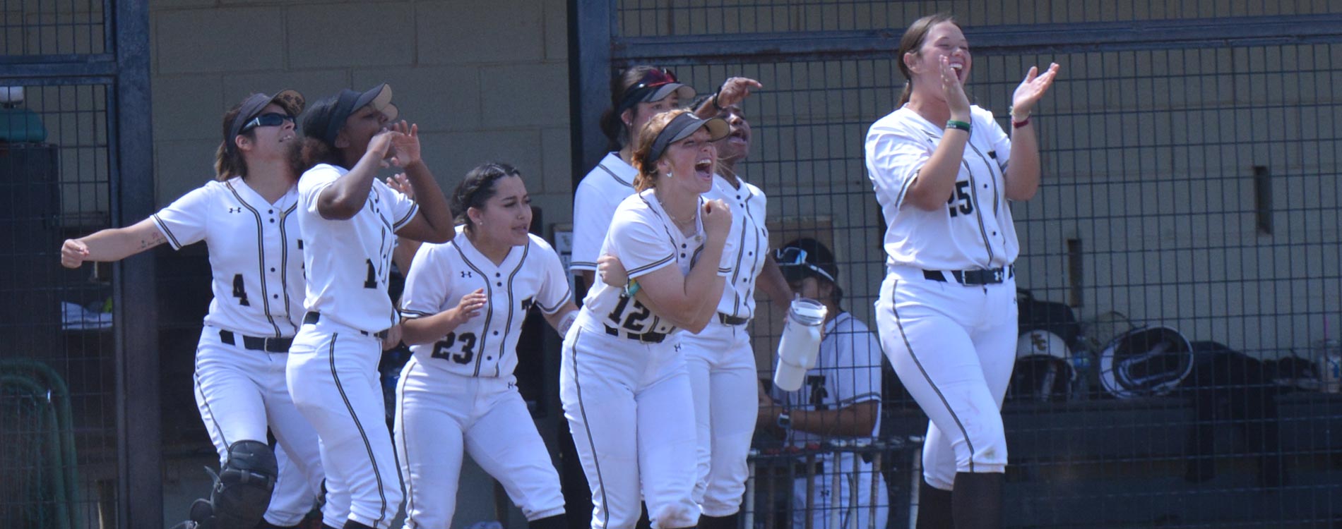 Temple College Softball